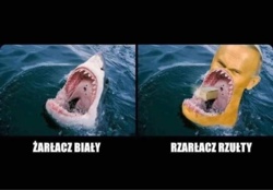 d8dc8d2b-3bcd-4f71-960c-7478fbfd9e77