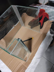 d51fbccf-f9b1-4e39-a418-86b18e22be26