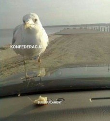 c7d2b1a9-aca3-42a9-9961-85607594ba18