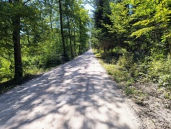 65053273-5f0c-47ee-a4d8-49b3c05b3ada