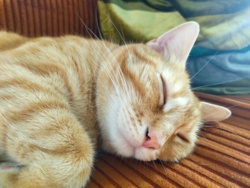 85e50c38-32ee-46c1-a3dc-ba4f0a6a86f2