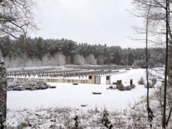 ce77fd9d-a46e-49ef-ac22-874409266745