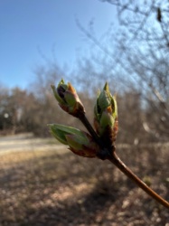 b63a7bba-9941-48bd-bd18-61c4c8c141fc