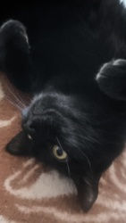 20429a44-045d-43ef-8a65-5412c059e530