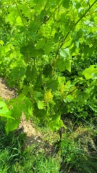 72f1915d-28d6-4ef6-ad8a-6d25d715a3ec