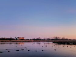 a6c960d6-4420-42f2-9459-13b8f8bd9e10