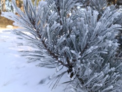 f76053ed-43df-4bed-8b87-fcb492cc096f