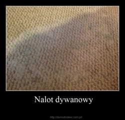 7fe4d474-7d8c-4c8f-bf69-bafa1cd68f58