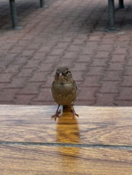 49565777-af6d-4ce6-949d-c58077e8bc88