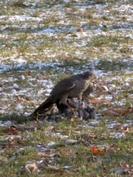 e88d36ba-3015-4bac-baeb-df8bccd28420