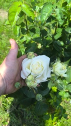 94c20e13-5fd6-4b2c-9414-376d597c8a89