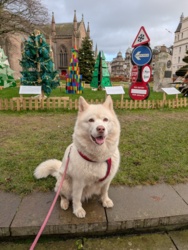 144fa0a9-06ff-4d41-9f52-272e3a76f60a