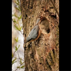 d1b6e3dc-3737-42e1-b382-d8e18692513c