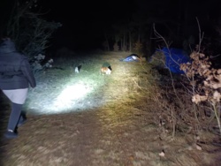 541a5699-c134-4080-b53e-551e43ddbede