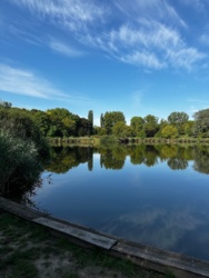 08de5cf6-c2b1-4e82-8dfc-848bcd6ed82a