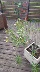 a6a3bccb-0ef4-48b2-ac58-ccf2d6d4f974