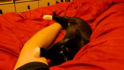 9c244506-e5ea-4b14-af5c-0c46a7bb22bc