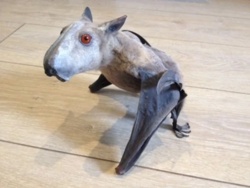 7566f807-68b3-4ba0-98d4-82b667ac66f9