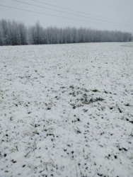 a7e18423-bdc1-4754-88be-b3e97066b4ba