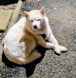 149d2895-cbe0-4ea7-b911-42947548f2da