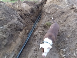 842f3925-ab19-4ff0-94b0-96860182b972