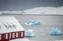 Reuters: USA badają możliwość zaoferowania Grenlandii statusu państwa stowarzyszonego