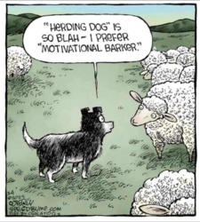 e6d4e632-e724-4986-9d2f-cf8cb23fdf81