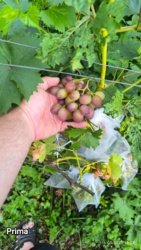 5035255b-312e-4087-b4a3-ad26d840ef6c