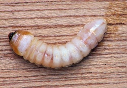 23068d17-f403-483d-b96a-5b9dfb4cfc42