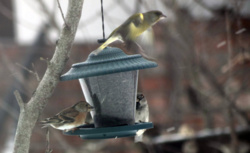 ab3c0931-bc83-47f4-930b-8b4ef9520859