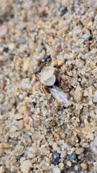 021d084c-79fb-4af0-a0ac-d9469dd34947