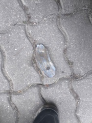 cd7a1b8b-9565-4496-b2ea-6046dd9fc241