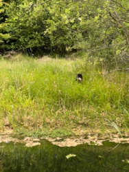 832f68c1-d8ee-417e-9fb5-048bf1a91e93