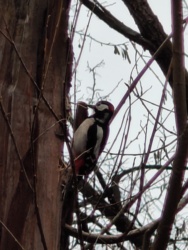 254aa5b3-87f5-4b3d-b545-62c113e49f02