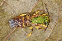 cfdd51d0-64fe-4966-865b-b6aeb1a0fbf3