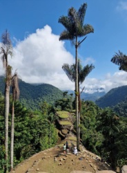 d44b9bbc-624c-451e-aea6-d1191f9f3f6b