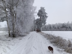 25f9f3d5-aba0-4bb5-80d7-ddb11f2654ae