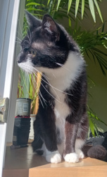 5c8fc02a-6ca9-45c2-baa3-73a2559b15df