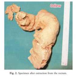 1ecf04ad-7eec-4fea-beaf-2bb1a635994c