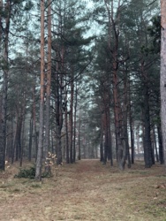 56c4d37a-d417-4634-a4c0-d12ce35439f5