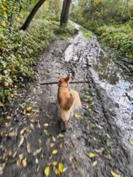 5529d388-2e5d-4d34-abb9-93ab200e261e