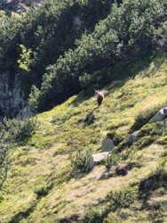 fcb4711f-bbb9-41bc-bfd4-be3f3a4bc11e