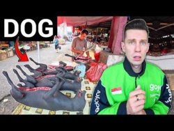 Najbradziej Hardkorowy Targ na Świecie