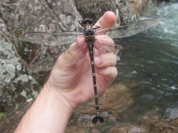 4e28ce1a-b156-4baf-9dd5-f46aad7ee5b3