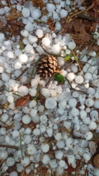 a7c842ce-7b30-46af-bc8e-bf1ca322c06b