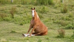 396c09ce-601a-4da7-a7e1-3fd1804f6bcc