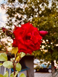 888737d3-e210-40a3-a572-ae8b01c775ae