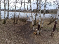 32c28c5d-94cb-4c35-b821-f5e1327c3211