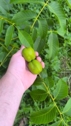 f0cd306d-f768-43b6-8ab0-aa8f406a32cf