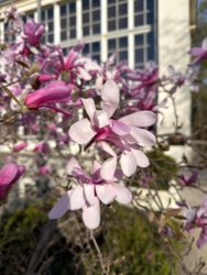 dfde696c-234c-46ab-85af-6e97fed563fb